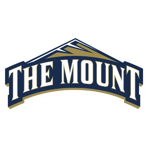 Mount St. Mary's University